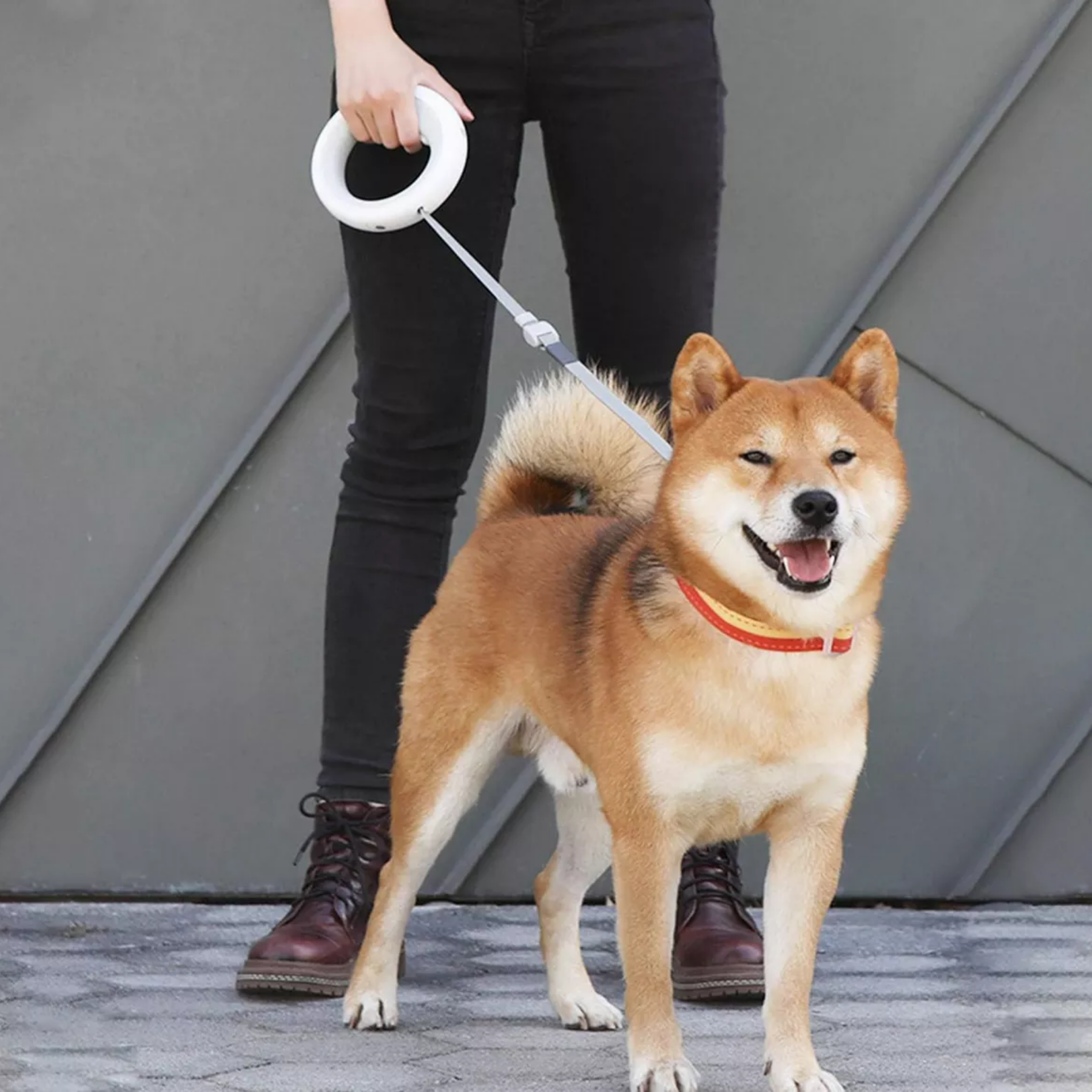 Correa Retráctil para Mascotas Con Freno